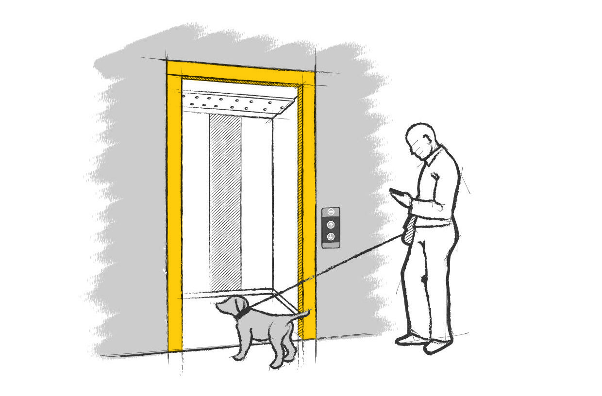 L'importance de surveiller votre chien à l’entrée et à la sortie de l’ascenseur
